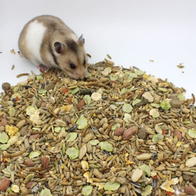 Jyvis Syyrialainen Hamsteri jyrsijän täysrehu